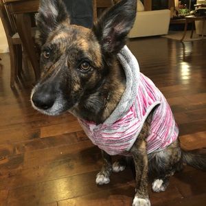 Meet your Posher, Heather